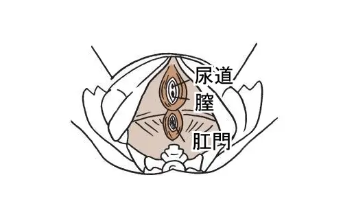 下から見ると こうなってる！