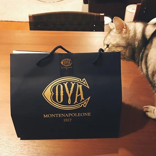 日常の小さな幸せ♡上品で甘さ控えめ「COの画像_4