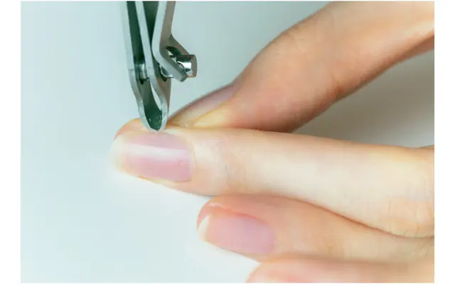 爪と側面の肉の間を指で広げて、小爪がツンと立ったら、根元をニッパーで切る。