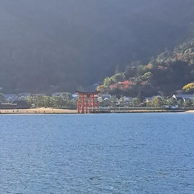 安芸の宮島へ弾丸旅行の画像_6