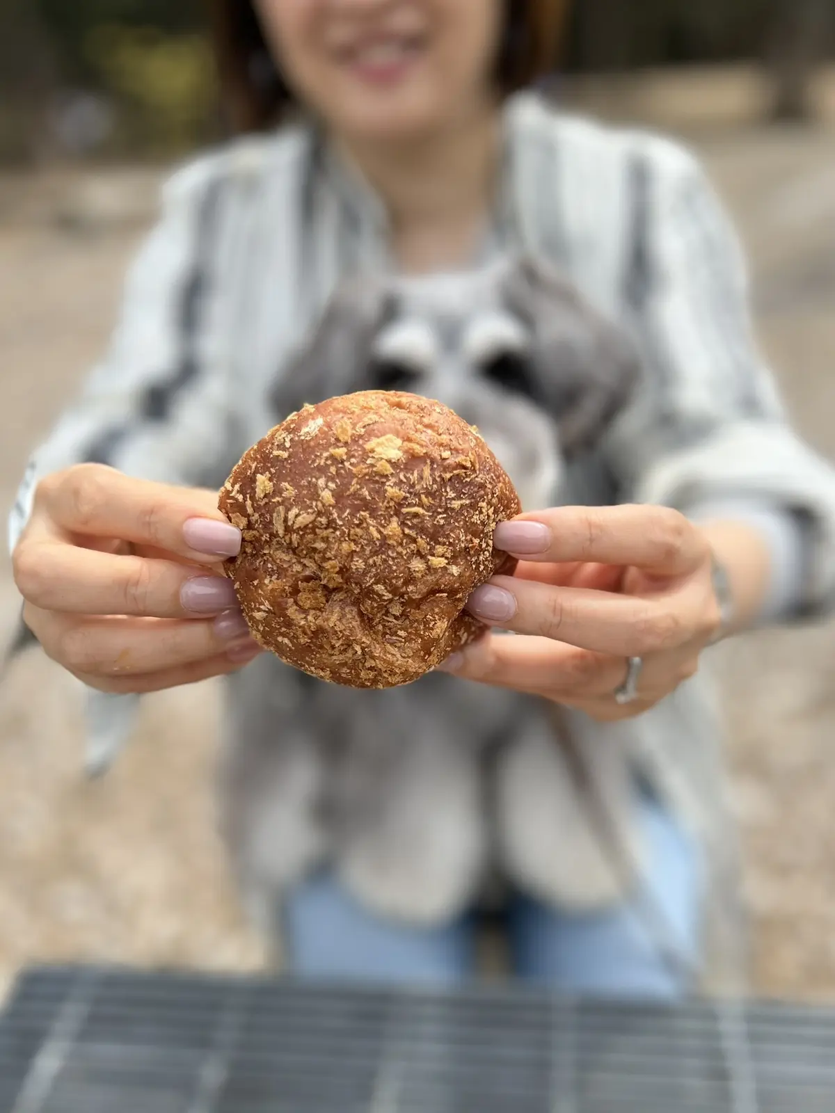 コナとスパイス