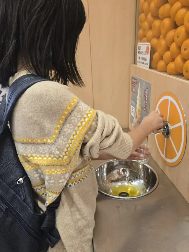 静岡といえば、富士山と○○○○の画像_9