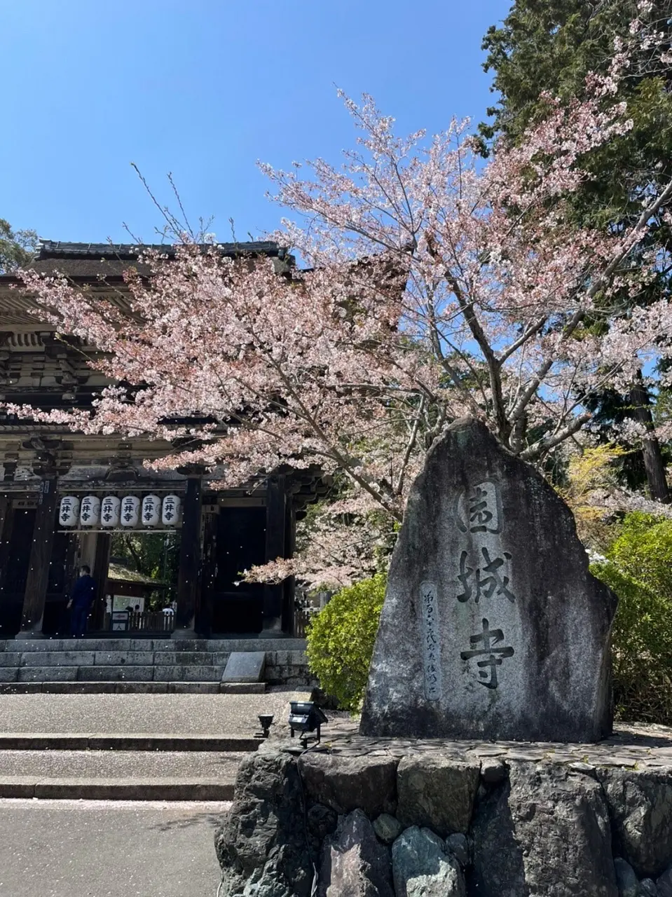 琵琶湖大津へお花見ドライブの画像_1