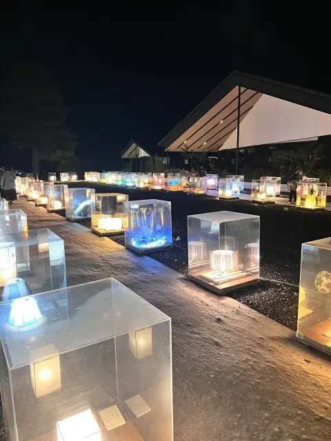 幻想的な光の饗宴〜美濃あかりアート〜の画像_13