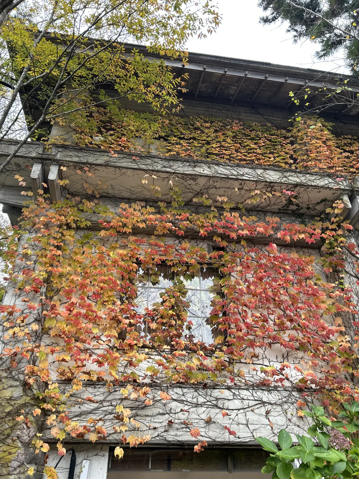 開運コーデ　運を呼び込む私のファッションの画像_9