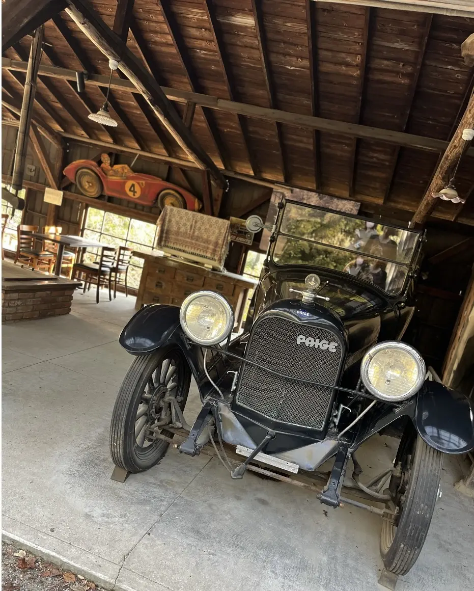 コスモス柄ワンピースで「武相荘」への画像_7