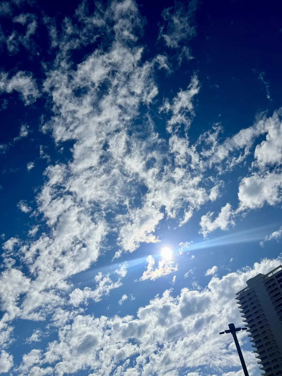 読書の秋、映画鑑賞の秋、そしてファッショの画像_1