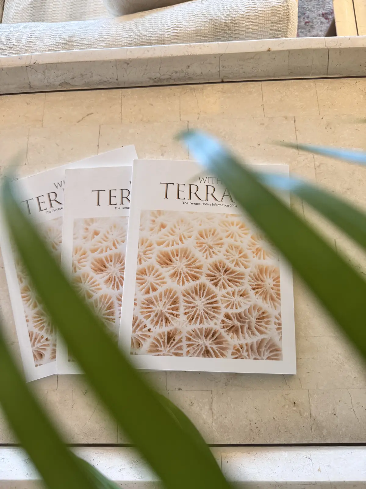 美人見え♡旅にマストなGUデニムジャケッの画像_6