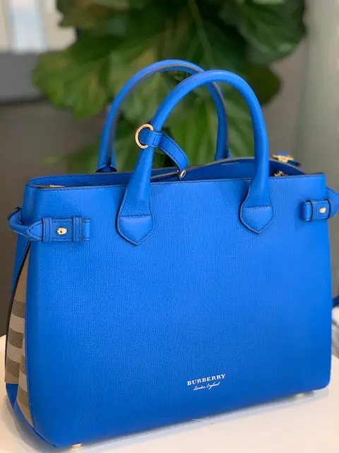 ロイヤルブルーに癒されて…の画像_1