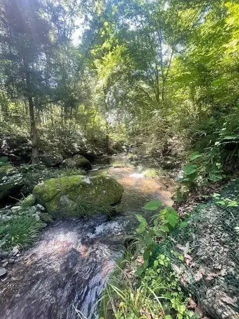 秩父 水のほとり