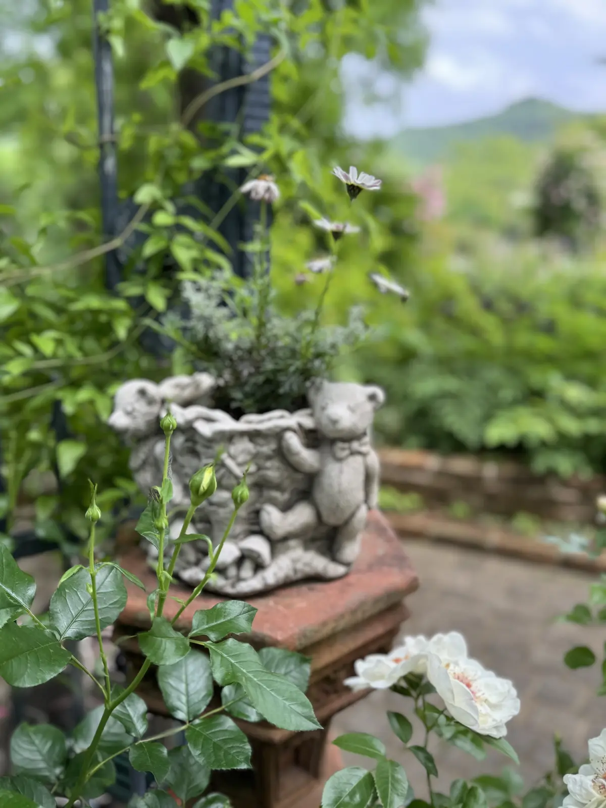 イングリッシュガーデン"風"じゃない！！の画像_5