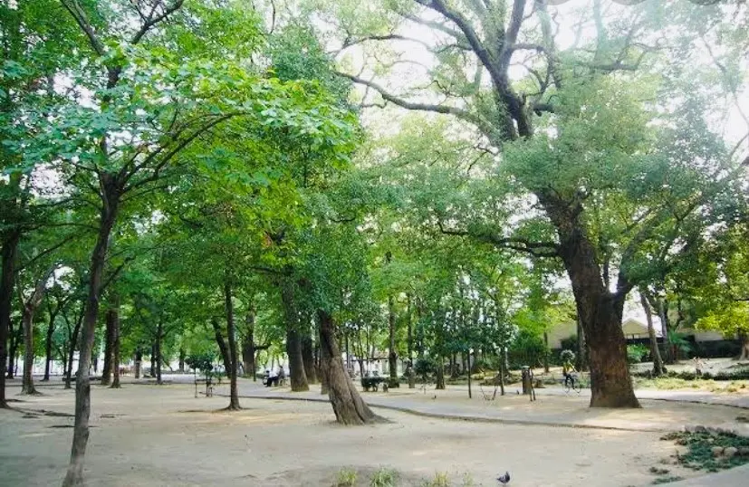 新緑あふれる街「和モダン着物」撮影✨の画像_3