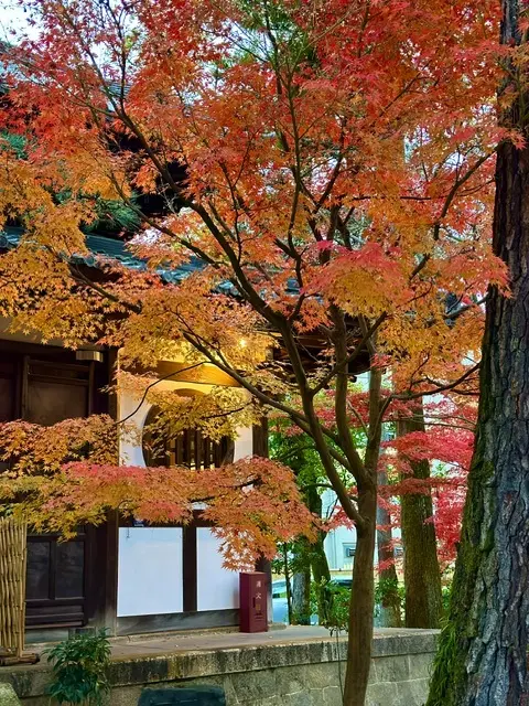 秋の京都巡り♡紅葉の永観堂（禅林寺）〜 の画像_18