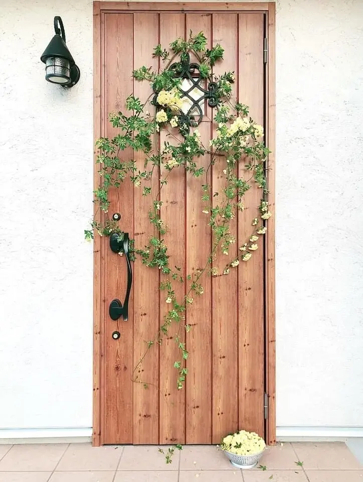 鎌倉便り。咲きました！木香薔薇で彩るインの画像_8