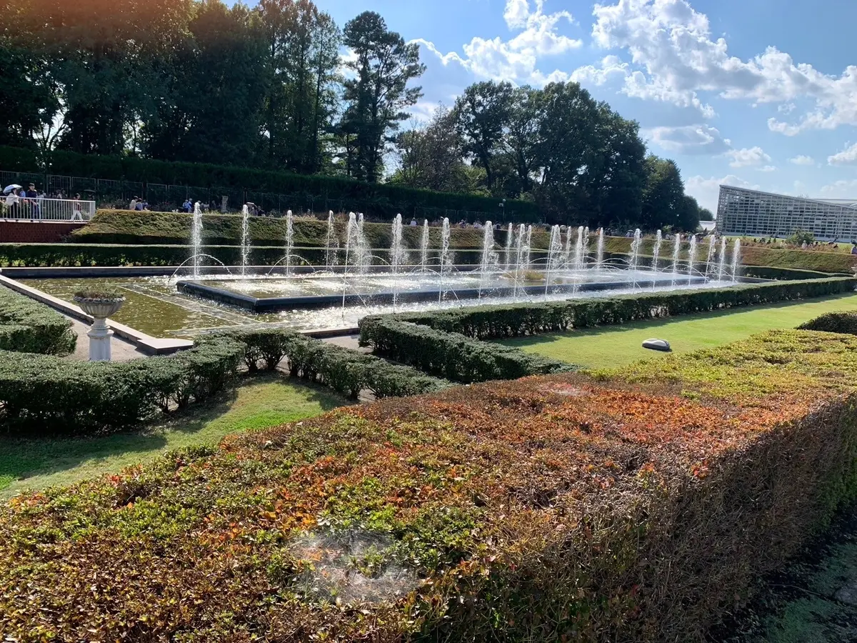 おいしい蕎麦を食べに深大寺へ　豊かな自然の画像_11