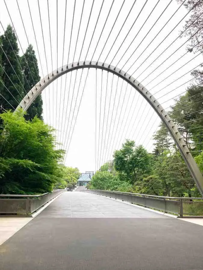 mihomuseum ミホブリッジ　新緑の季節　風薫る5月