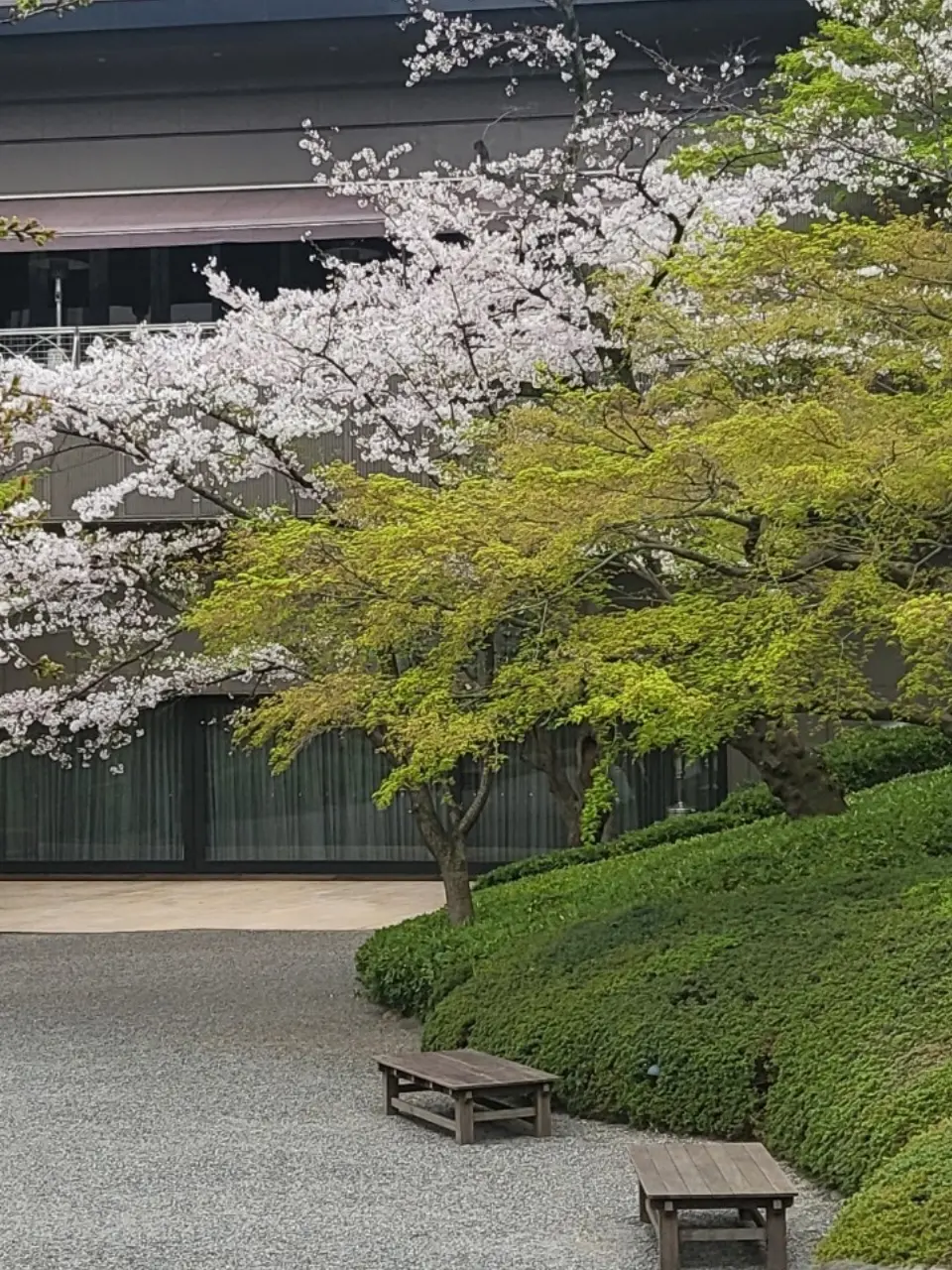 感動のフォトウェディング♡の画像_1