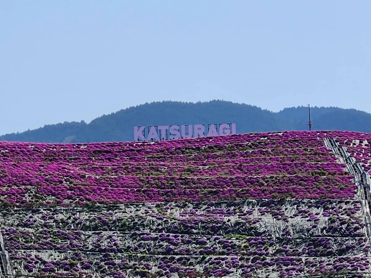 ハリウッドを思わせる、「KATSURAGI」