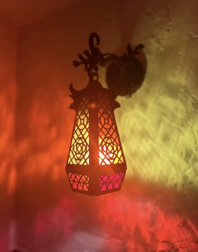 秋は、夜の散策が楽しい。の画像_6