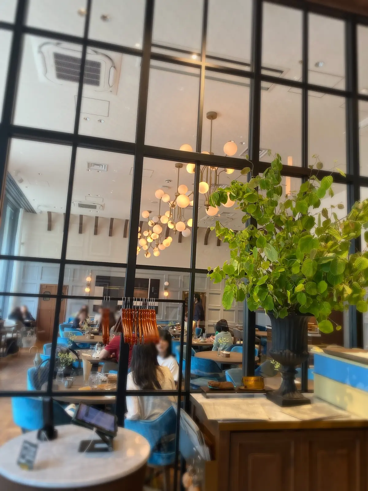 開放的なガラス張りの店内、五反田GOTTAの洗練された空間。ブルーのチェアが印象的。