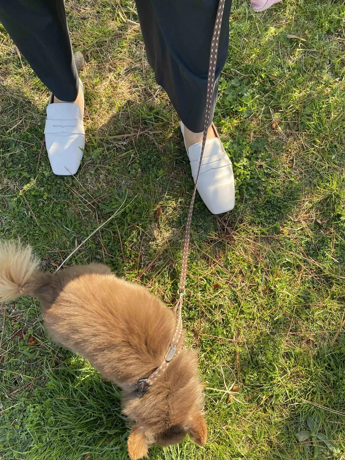 バンドカラーの白シャツの画像_3