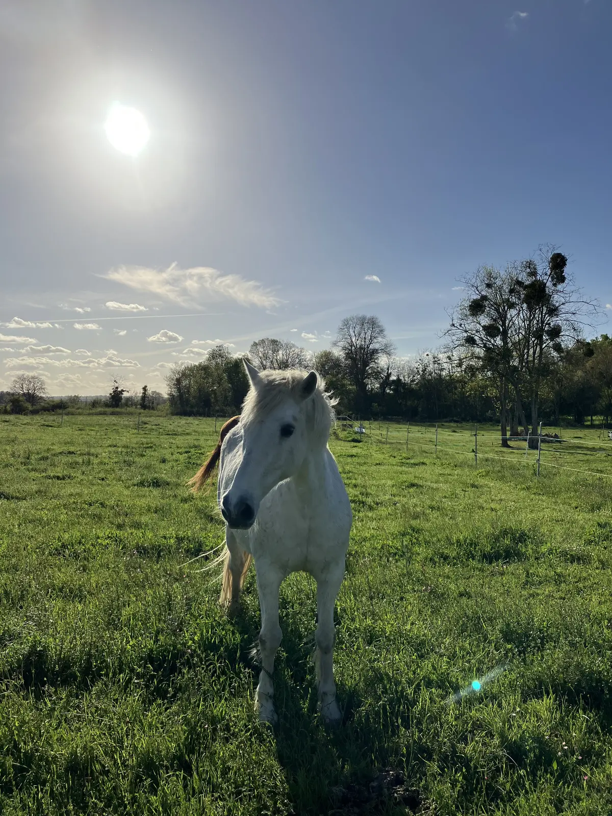 フランス旅行#3 ボルドー地方編の画像_5