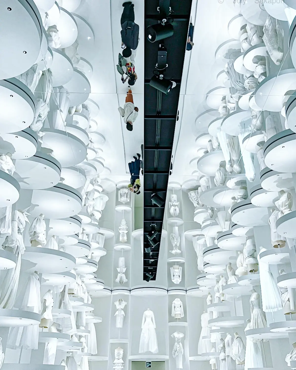 【さかぽんの美術手帳】清澄白河cafe の画像_3