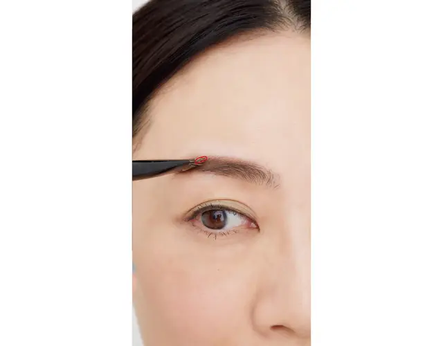 ゆるやかな丸みのある眉山カーブを描く