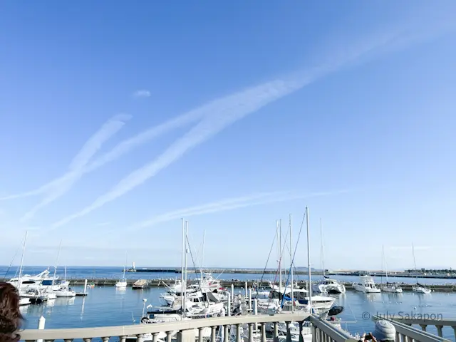 【さかぽんの冒険】早咲きのサクラ@熱海の画像_10