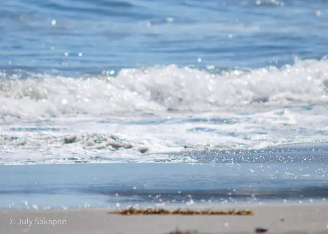 【さかぽんの冒険】海☆海☆海❤️@七里ヶの画像_19