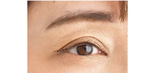 《1》まずは点、点、点と ガイドラインを描く