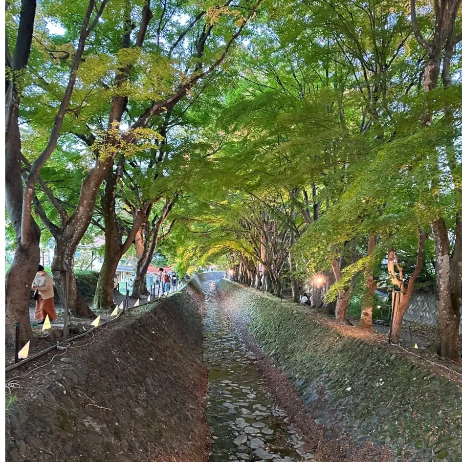 山梨県へ紅葉狩りに行ってきましたの画像_8