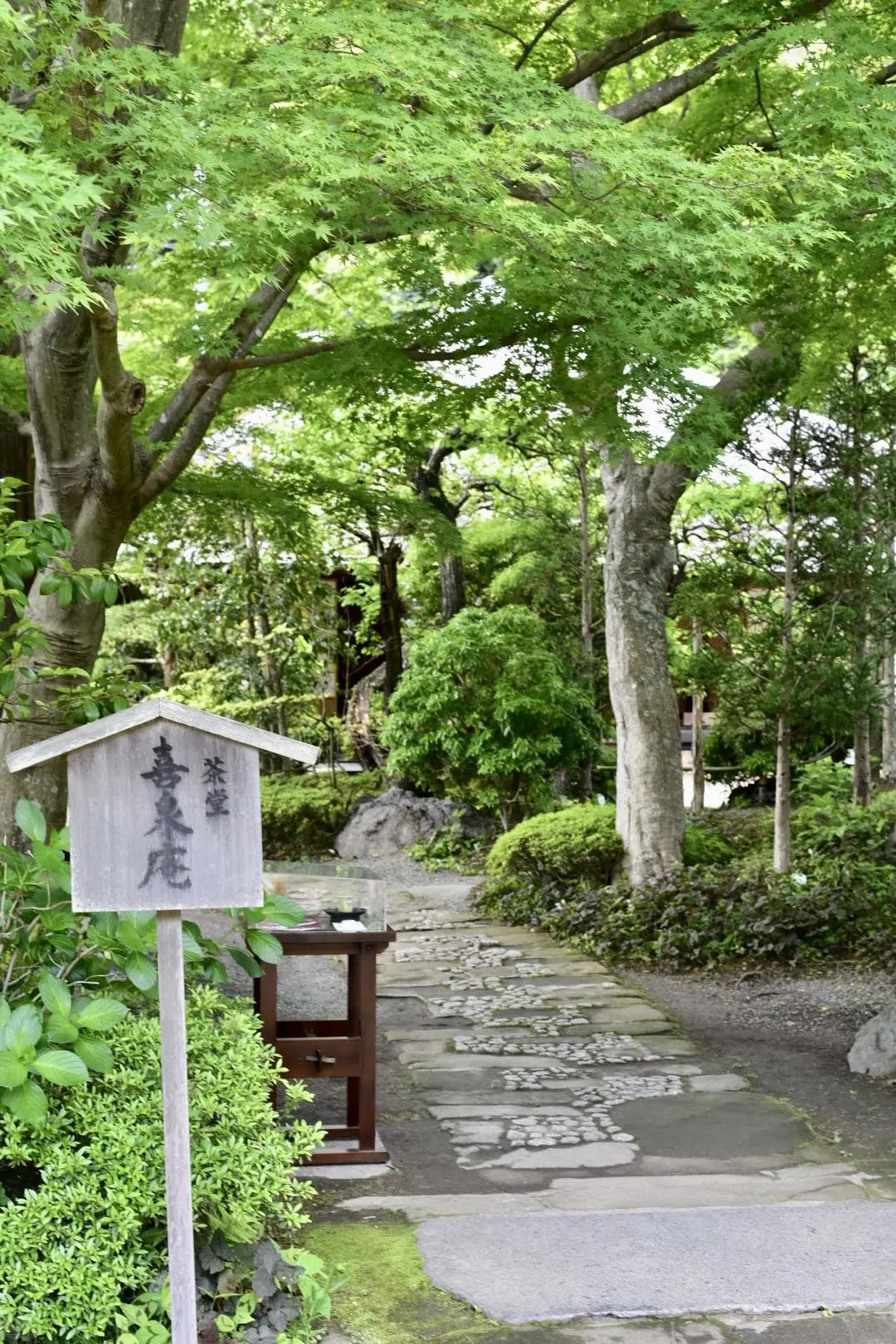 鎌倉・浄明寺境内のお茶室とカフェへ♡の画像_2