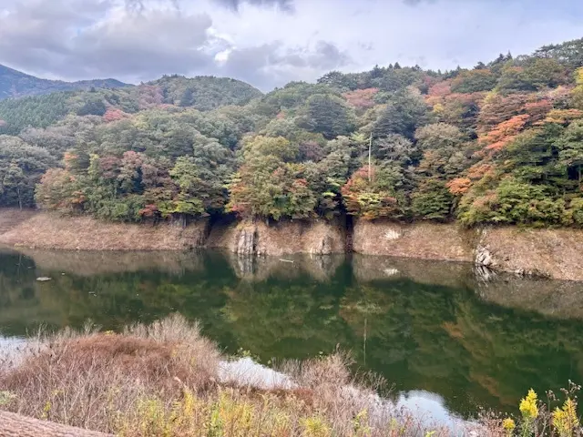 愛犬と那須へおでかけ♪牧場ランチ＆美しいの画像_6