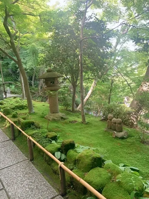 初夏のオトナの鎌倉散歩の画像_7