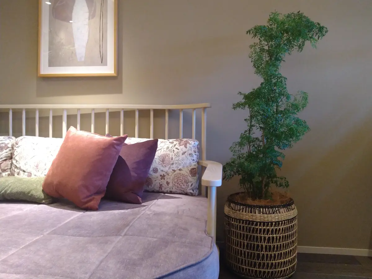 極上リトリート  〜ふふ軽井沢　陽光の風の画像_8