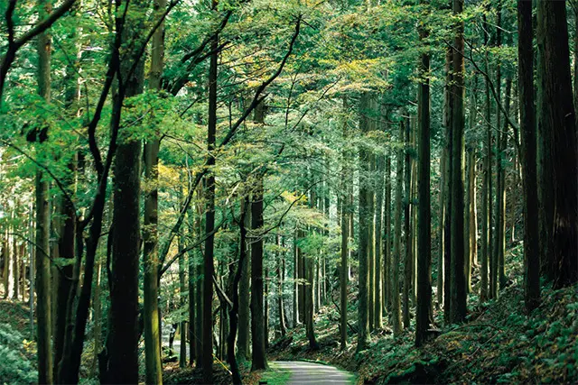 【京都に住む】Community Stoの画像_2