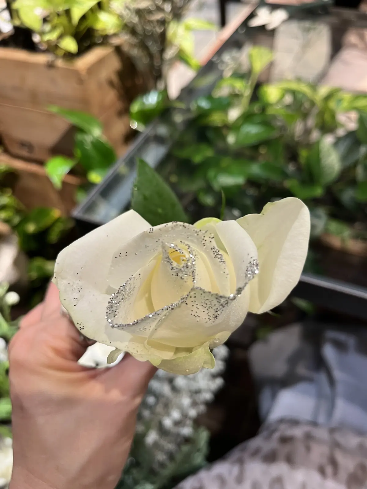 ホワイトクリスマスアフタヌーンティーへの画像_5