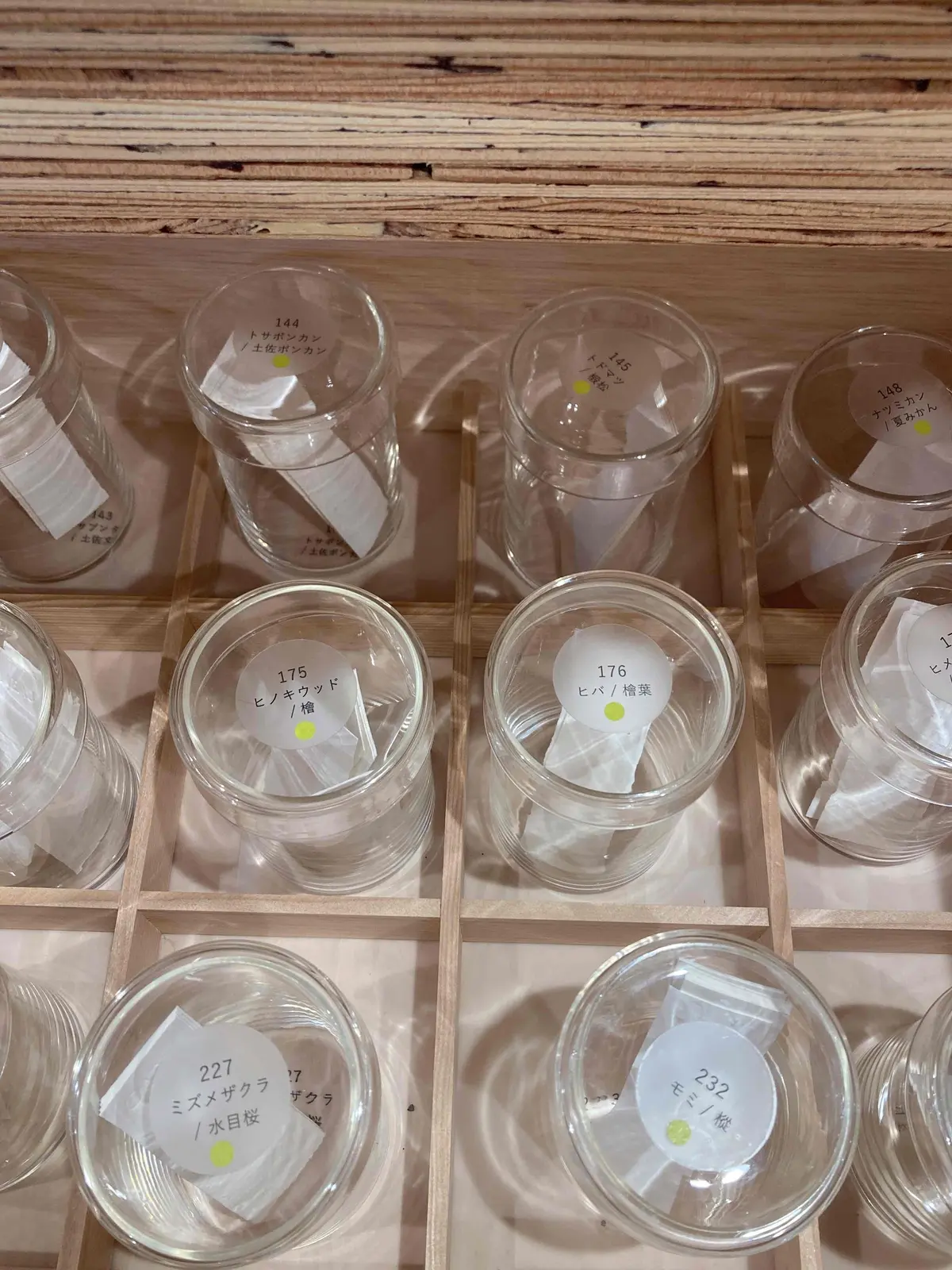 アロマに癒される　AEAJ Green の画像_5