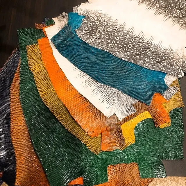 リザード　革見本