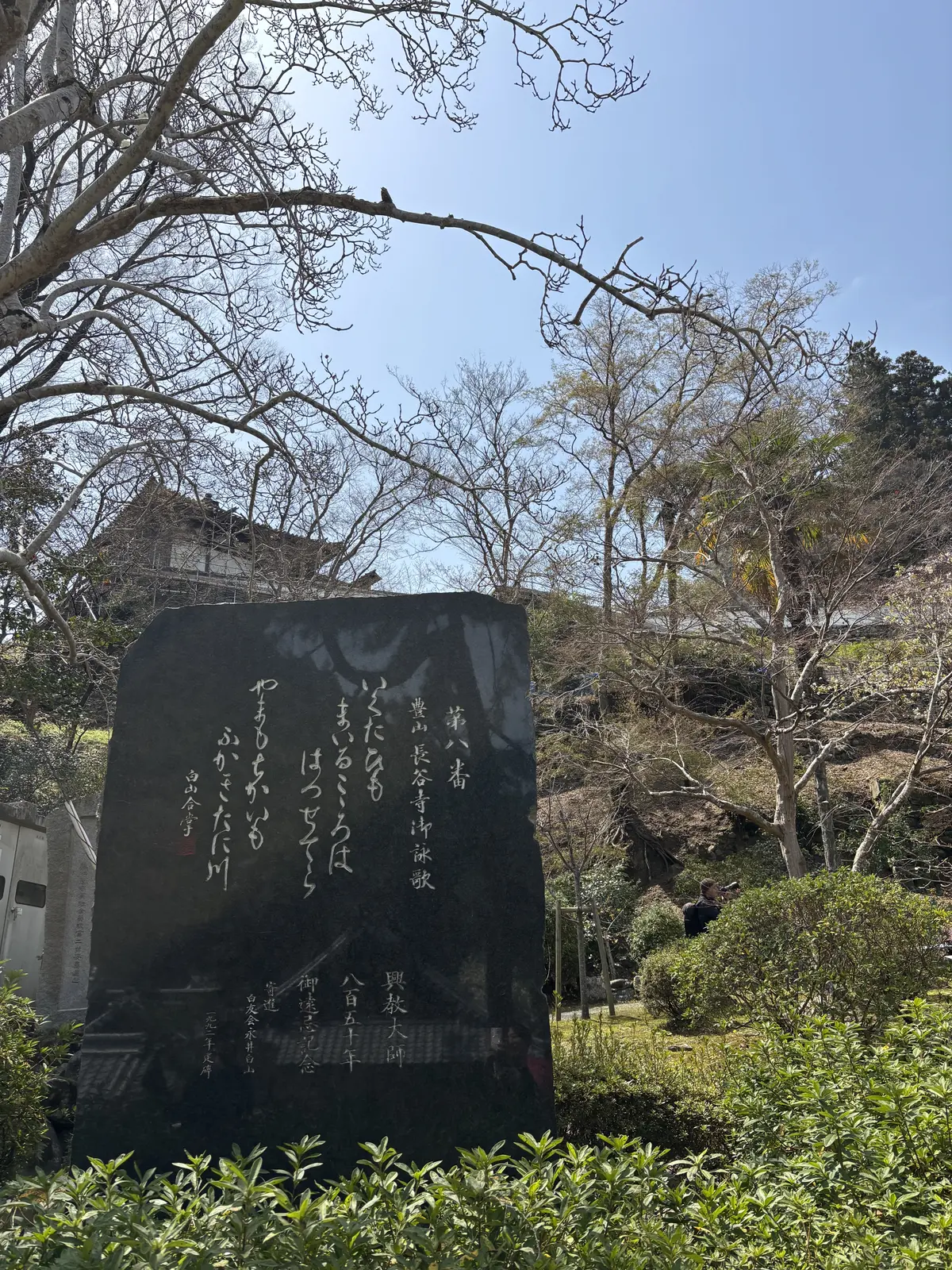 春の彩り、心に染みる長谷寺の桜の画像_11