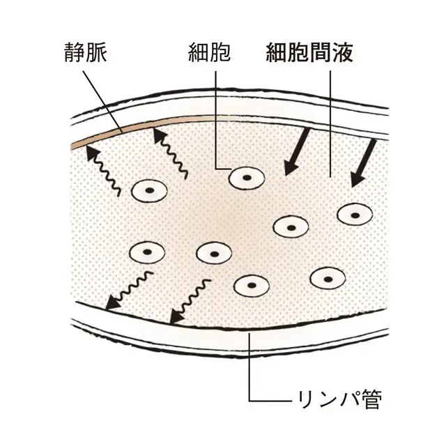 むくみがあるとき