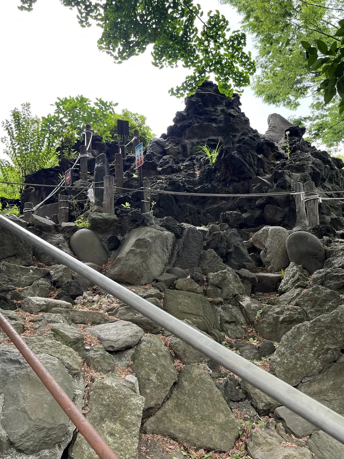 目白から千駄ヶ谷・新宿への画像_2