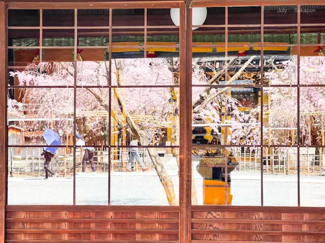 【そうだ!京都 行こう】桜パフェ食べにきの画像_13