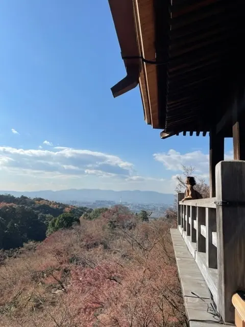 関西を巡る旅(観光編)の画像_5