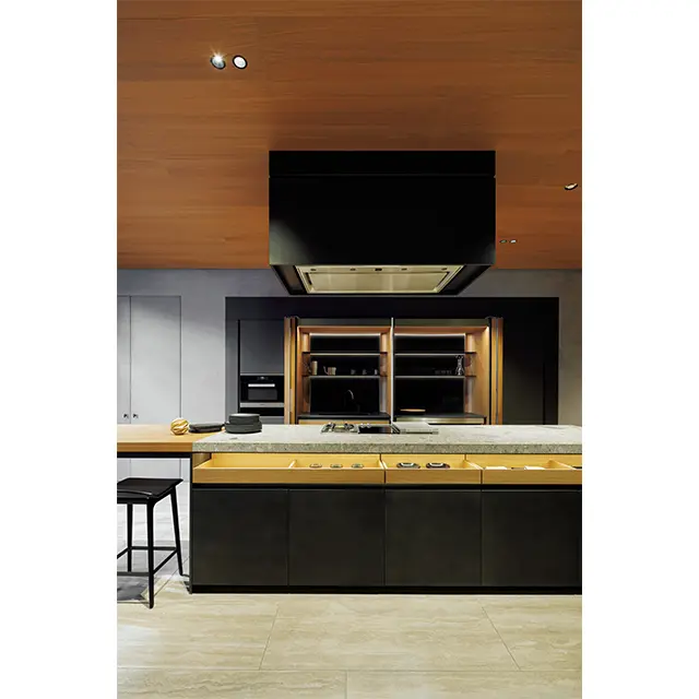 ヴィンセント・ヴァン・ドゥイセンがデザインした「VVD」