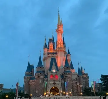 ディズニーランドの今の画像_1