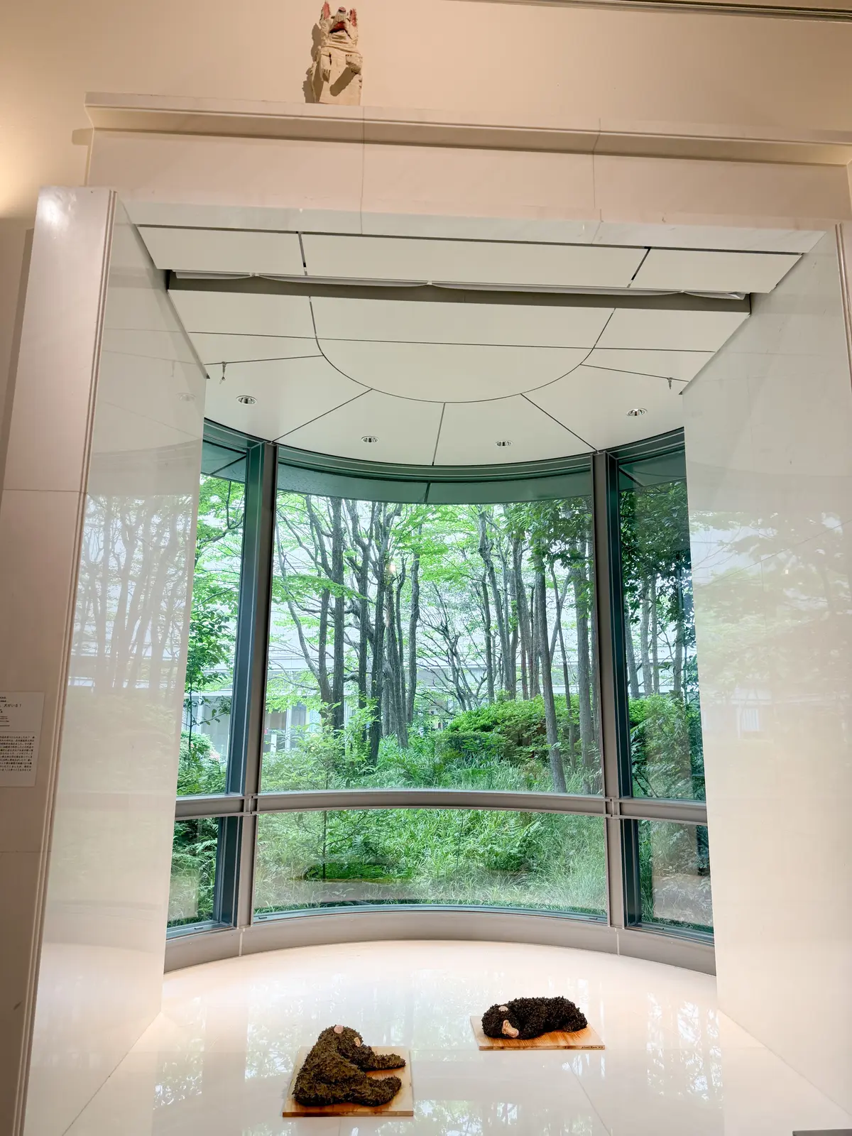 『どうぶつ百景展』は癒しの時間に@愛知県の画像_5