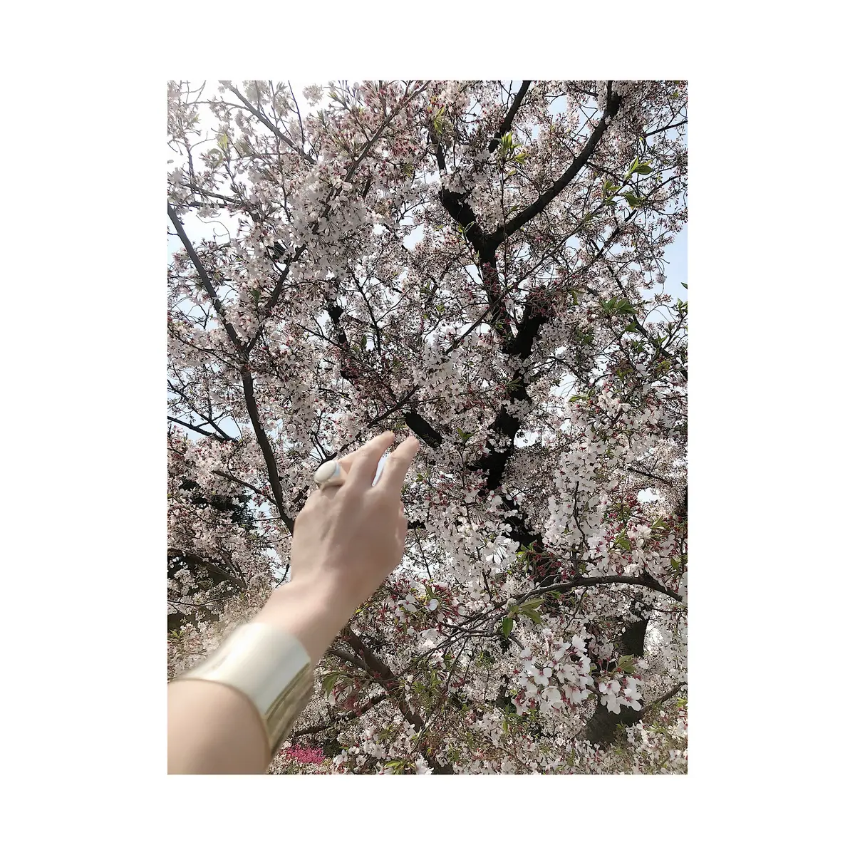 ZARAのセットアップの画像_4