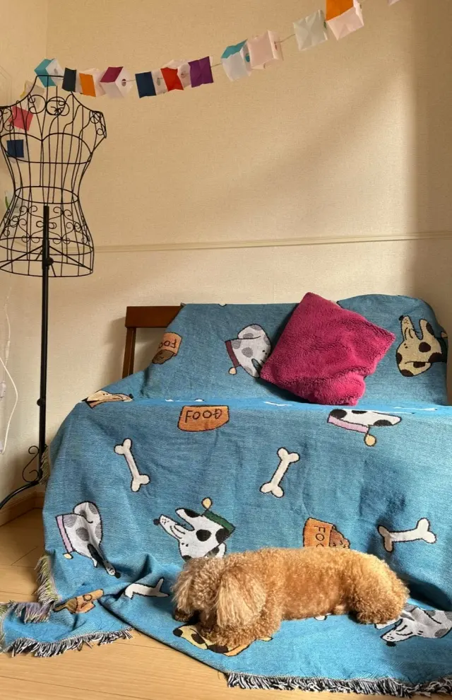 神戸にてリスタート。の画像_2